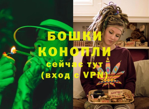 соль ск Костерёво