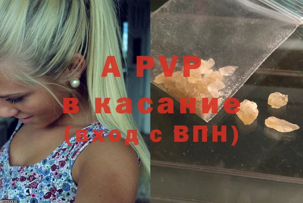 амф Корсаков