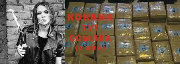 гашик Кинешма