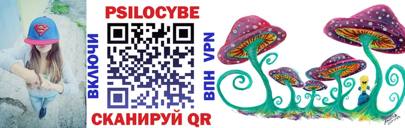 Купить где  Борзя  Галлюциногенные грибы прущие грибы 